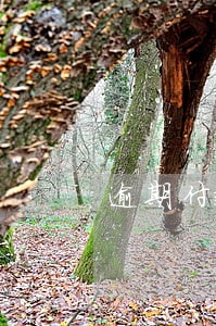 逾期付款的财务指标是什么
