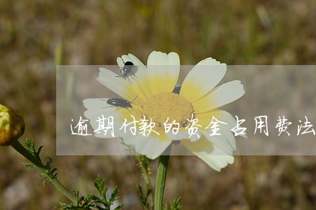 逾期付款的资金占用费法律规定 逾期付款的资金占用费法律规定