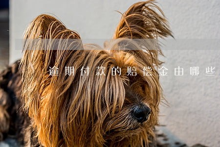 逾期付款的赔偿金由哪些构成 逾期付款的赔偿金由哪些构成