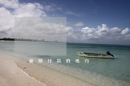 逾期付款的违约 逾期付款的违约