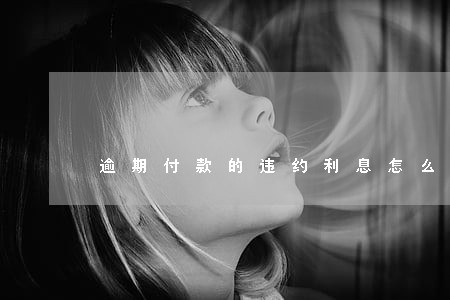 逾期付款的违约利息怎么做账 逾期付款的违约利息怎么做账