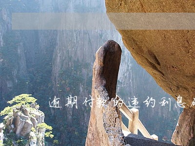 逾期付款的违约利息确定 逾期付款的违约利息确定
