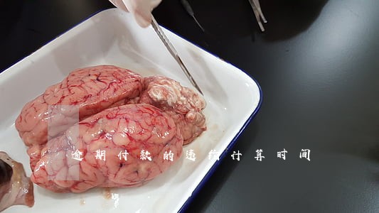逾期付款的违约计算时间 逾期付款的违约计算时间