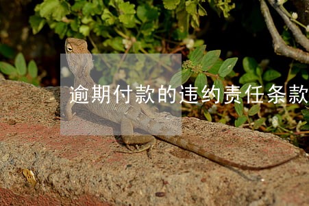 逾期付款的违约责任条款怎么写 逾期付款的违约责任条款怎么写