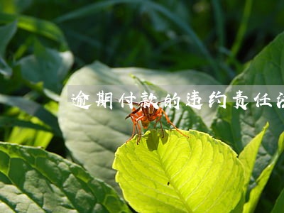 逾期付款的违约责任法律规定 逾期付款的违约责任法律规定