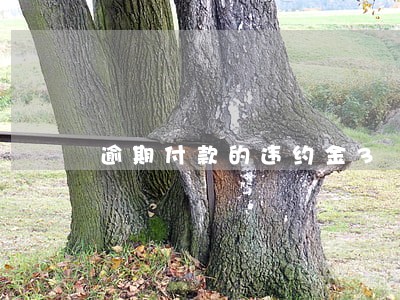 逾期付款的违约金3