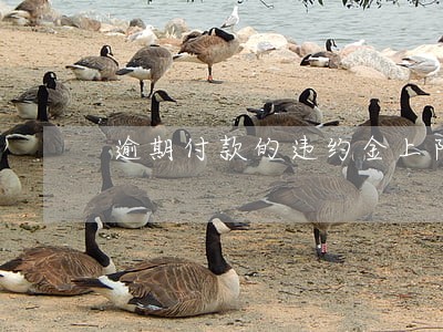 逾期付款的违约金上限 逾期付款的违约金上限