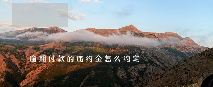 逾期付款的违约金怎么约定 逾期付款的违约金怎么约定