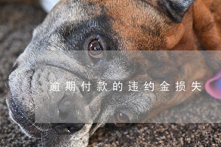 逾期付款的违约金损失 逾期付款的违约金损失