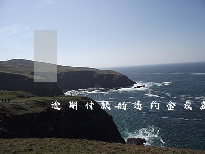 逾期付款的违约金最高限额 逾期付款的违约金最高限额