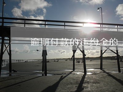 逾期付款的违约金的上限 逾期付款的违约金的上限