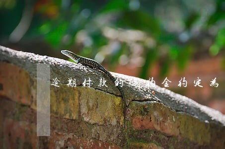 逾期付款的违约金约定为多少合适 逾期付款的违约金约定为多少合适