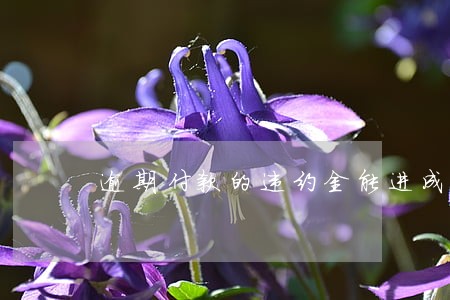 逾期付款的违约金能进成本吗 逾期付款的违约金能进成本吗