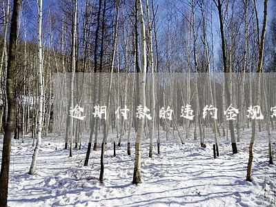 逾期付款的违约金规定 逾期付款的违约金规定