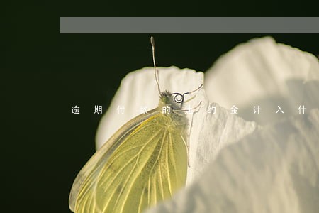 逾期付款的违约金计入什么科目 逾期付款的违约金计入什么科目