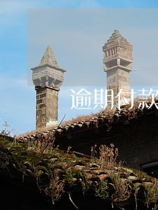 逾期付款的违约金超过本金 逾期付款的违约金超过本金