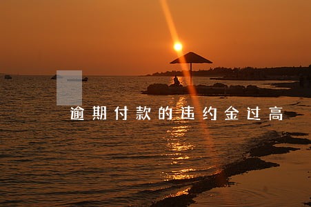 逾期付款的违约金过高 逾期付款的违约金过高