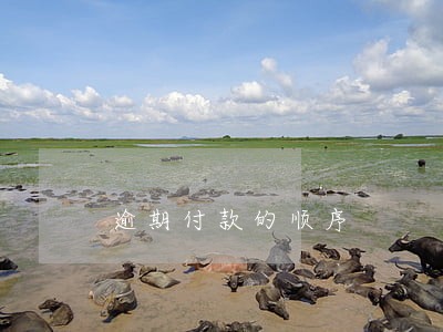 逾期付款的顺序 逾期付款的顺序