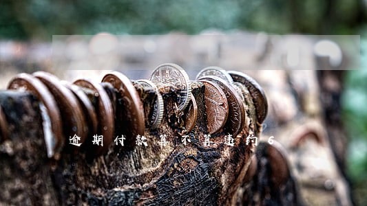 逾期付款算不算违约6