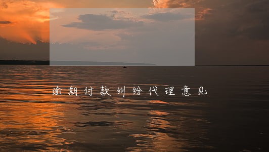逾期付款纠纷代理意见 逾期付款纠纷代理意见