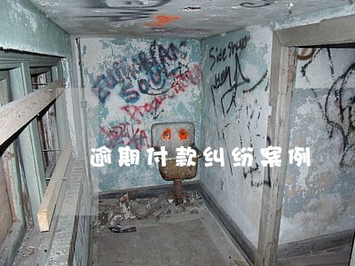 逾期付款纠纷案例 逾期付款纠纷案例