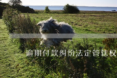 逾期付款纠纷法定管辖权