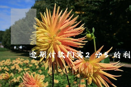 逾期付款约定2分5的利息 逾期付款约定2分5的利息
