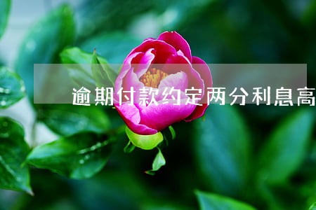 逾期付款约定两分利息高吗 逾期付款约定两分利息高吗
