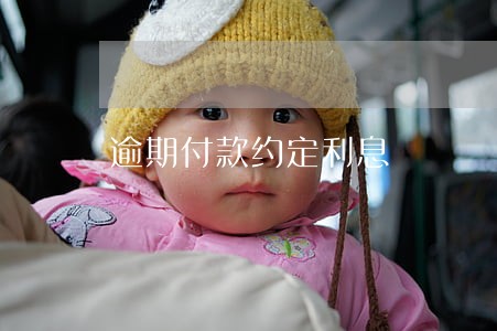 逾期付款约定利息 逾期付款约定利息