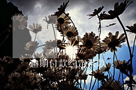 逾期付款约定条款 逾期付款约定条款