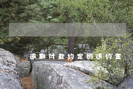 逾期付款约定的违约金 逾期付款约定的违约金