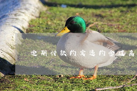 逾期付款约定违约金过高怎么调整 逾期付款约定违约金过高怎么调整