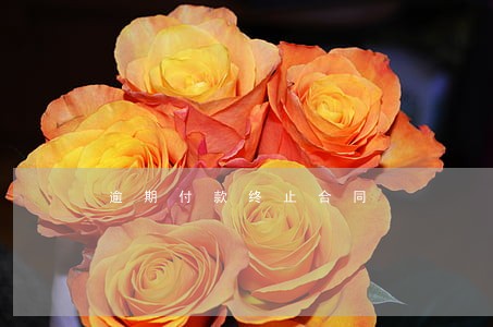 逾期付款终止合同 逾期付款终止合同