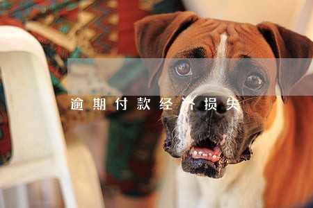 逾期付款经济损失 逾期付款经济损失