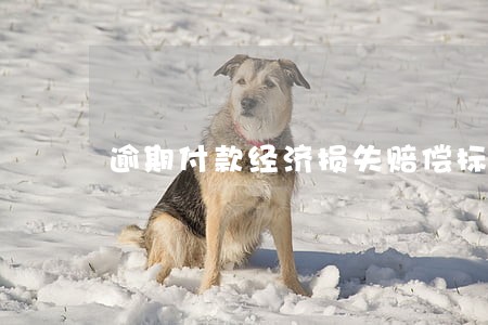 逾期付款经济损失赔偿标准 逾期付款经济损失赔偿标准