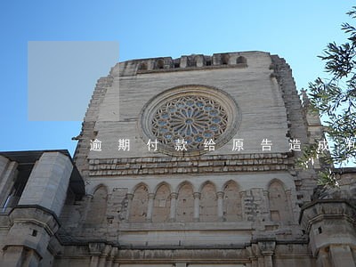 逾期付款给原告造成利息损失 逾期付款给原告造成利息损失