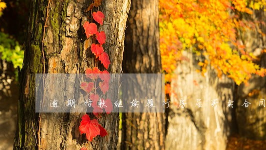 逾期付款继续履行房屋买卖合同 逾期付款继续履行房屋买卖合同