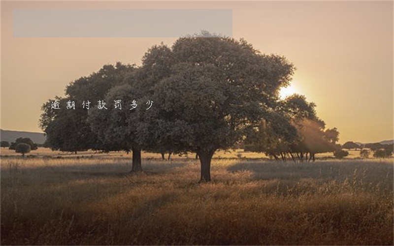 逾期付款罚多少 逾期付款罚多少