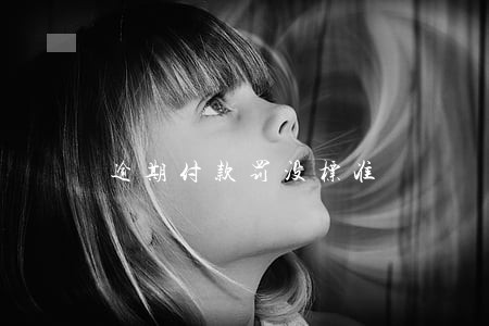 逾期付款罚没标准 逾期付款罚没标准
