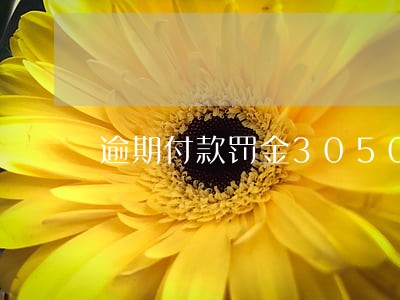 逾期付款罚金3050 逾期付款罚金3050