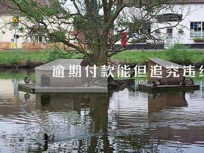 逾期付款能但追究违约金吗 逾期付款能但追究违约金吗