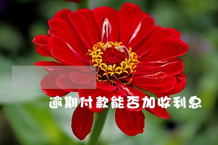 逾期付款能否加收利息 逾期付款能否加收利息