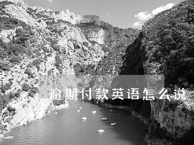 逾期付款英语怎么说 逾期付款英语怎么说