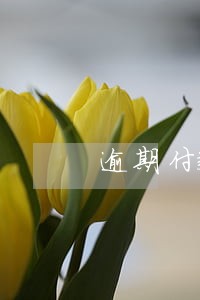 逾期付款范围