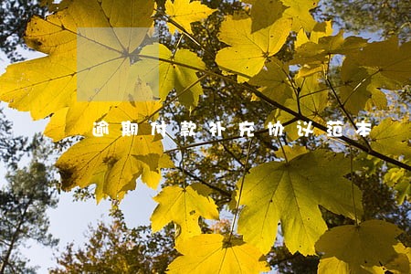 逾期付款补充协议范本 逾期付款补充协议范本