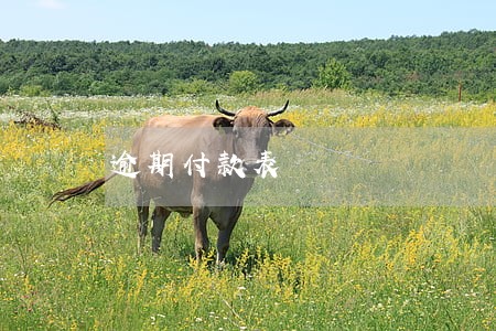 逾期付款表 逾期付款表