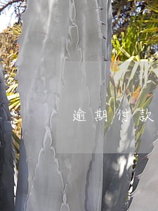逾期付款要求利息吗 逾期付款要求利息吗