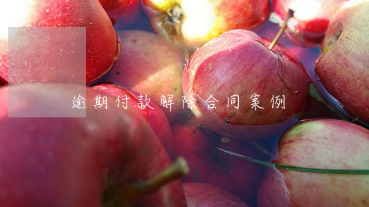 逾期付款解除合同案例 逾期付款解除合同案例