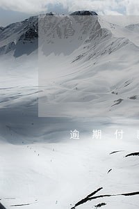 逾期付款计划