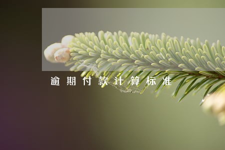 逾期付款计算标准 逾期付款计算标准